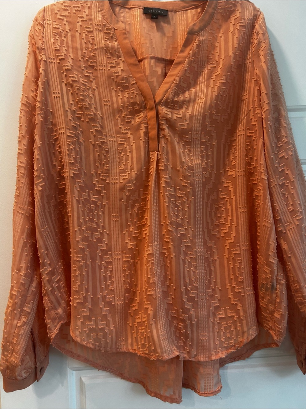 Peach Blouse with camisole